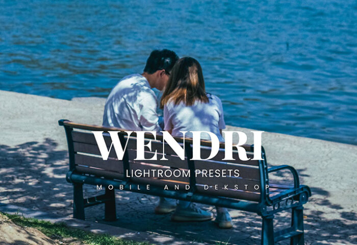 20 پریست لایت روم رنگی فشن حرفه ای Wendri Lightroom Presets