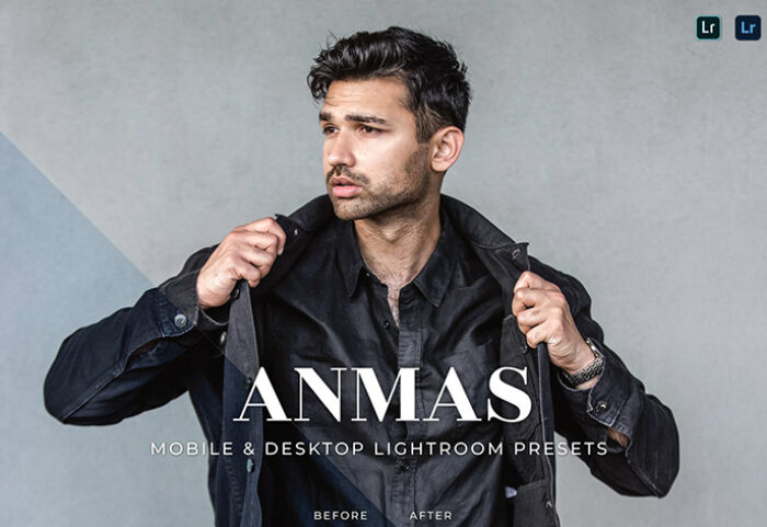 20 پریست لایت روم رنگی پرتره حرفه ای Anmas Lightroom Presets
