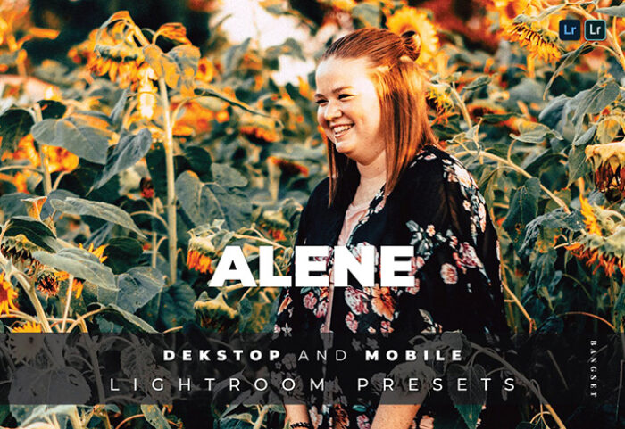 20 پریست لایت روم پرتره حرفه ای Alene Lightroom Preset