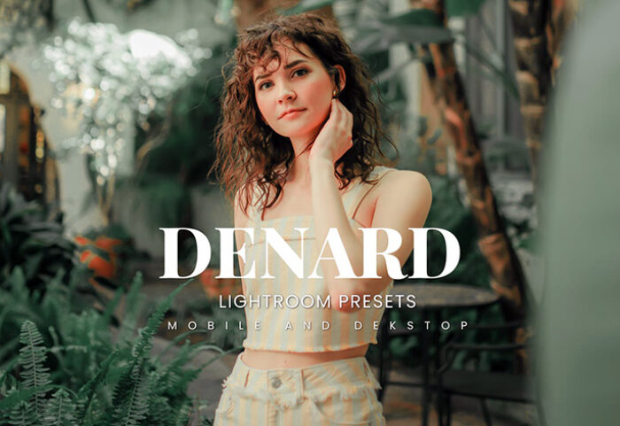20 پریست لایت روم پرتره فضای باز Denard Lightroom Presets