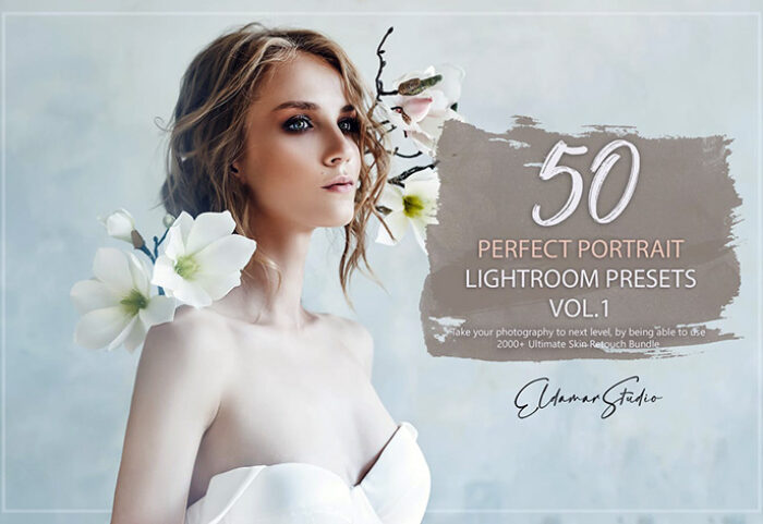 خرید 100 پریست لایت روم عکس پرتره Perfect Portrait Lightroom Presets - Vol. 1