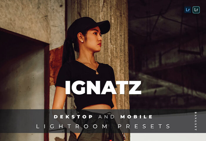 خرید 20 پریست لایت روم پرتره حرفه ای Ignatz Lightroom Preset