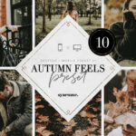 10 پریست لایت روم پاییز تم احساس پاییزی Autumn Feels Lightroom Presets