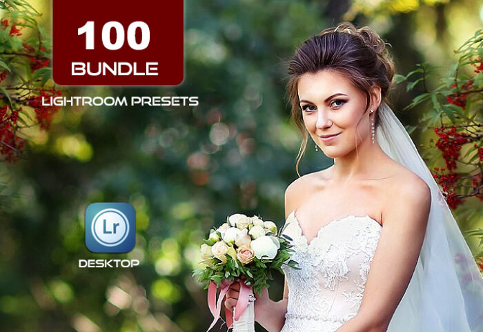 100 پریست لایت روم آپدیت 2021 عروسی و پرتره Lightroom Presets Bundle