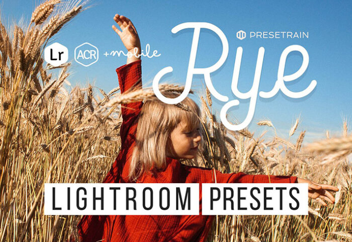 24 پریست لایت روم و پریست کمرا راو فتوشاپ تم گندمزار Rye Lightroom & ACR Presets