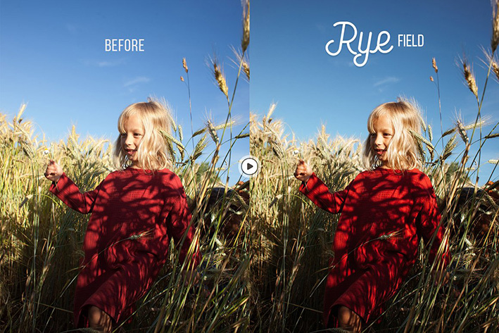 24 پریست لایت روم و پریست کمرا راو فتوشاپ تم گندمزار Rye Lightroom & ACR Presets 24 پریست لایت روم و پریست کمرا راو فتوشاپ تم گندمزار Rye Lightroom & ACR Presets
