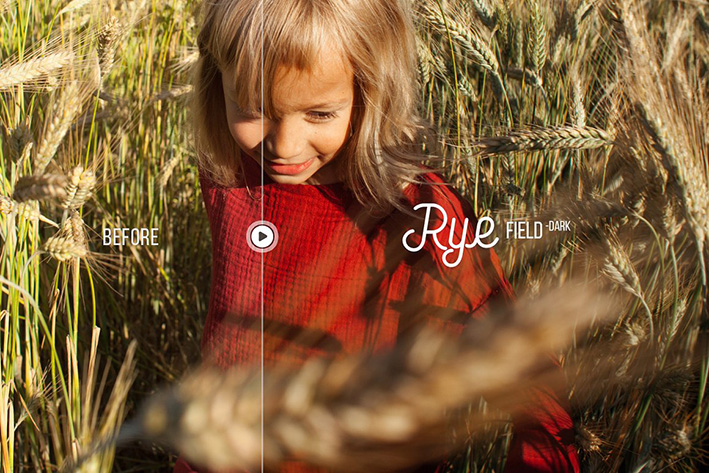 24 پریست لایت روم و پریست کمرا راو فتوشاپ تم گندمزار Rye Lightroom & ACR Presets