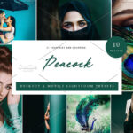 30 پریست لایت روم حرفه ای تم رنگی طاووس Lightroom Presets Peacock Presets