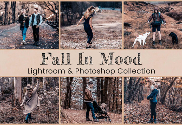 32 پریست لایت روم پاییزی فوق حرفه ای Fall In Mood Lightroom PS Presets
