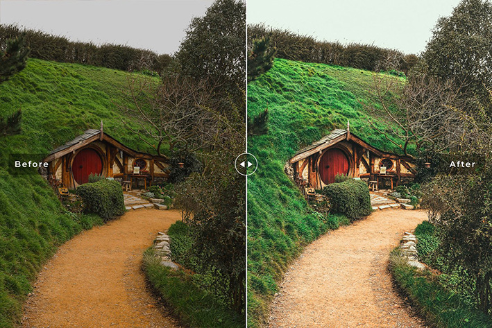 40 پریست لایت روم و پریست کمرا راو و اکشن فتوشاپ Waikato Lightroom Presets