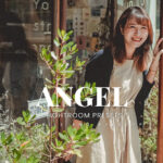 20 پریست لایت روم رنگی حرفه ای Angel Lightroom Presets