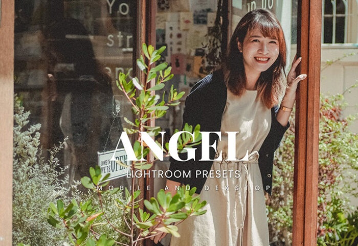 20 پریست لایت روم رنگی حرفه ای Angel Lightroom Presets