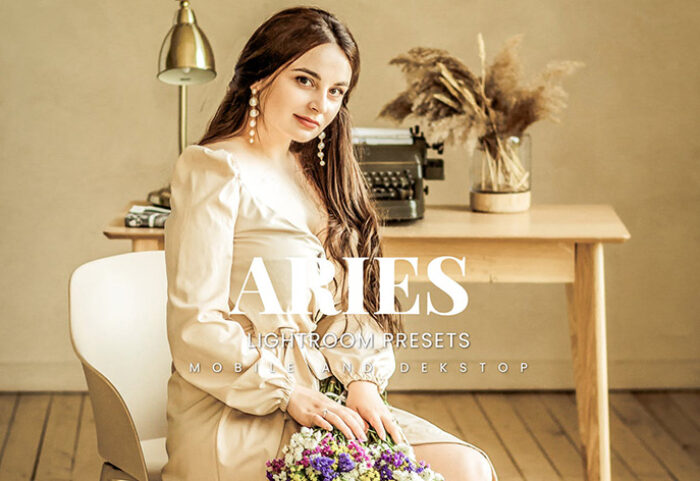 20 پریست لایت روم رنگی حرفه ای Aries Lightroom Presets