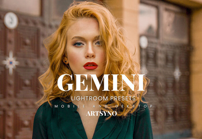 20 پریست لایت روم رنگی حرفه ای Gemini Lightroom Presets