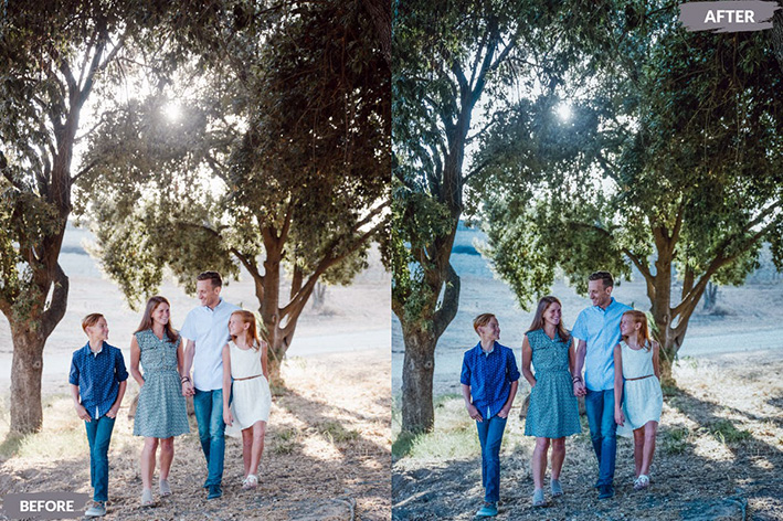 20 پریست لایت روم رنگی حرفه ای Harmony Lightroom Presets 20 پریست لایت روم رنگی حرفه ای Harmony Lightroom Presets