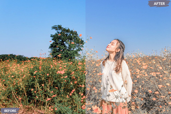 20 پریست لایت روم رنگی حرفه ای Lovely Lightroom Presets 20 پریست لایت روم رنگی حرفه ای Lovely Lightroom Presets