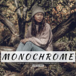 20 پریست لایت روم رنگی حرفه ای Monochrome Lightroom Presets