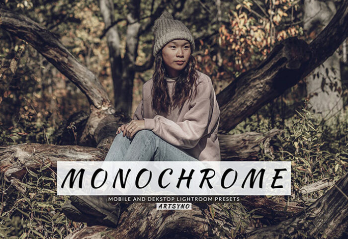 20 پریست لایت روم رنگی حرفه ای Monochrome Lightroom Presets