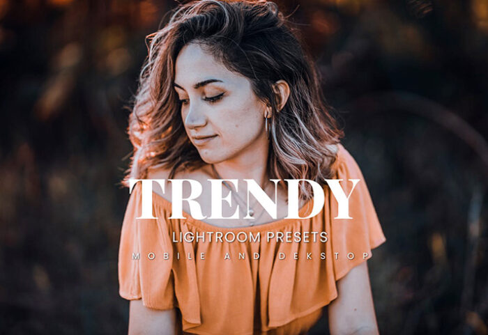 20 پریست لایت روم رنگی حرفه ای Trendy Lightroom Presets