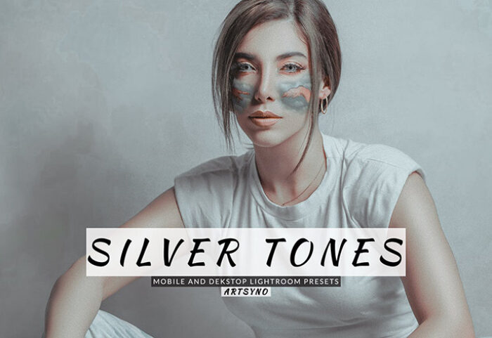 20 پریست لایت روم رنگی حرفه ای تم نقره ای Silver Tones Lightroom Presets