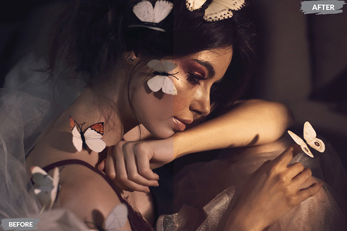 20 پریست لایت روم رنگی حرفه ای تم پروانه Butterfly Lightroom Presets