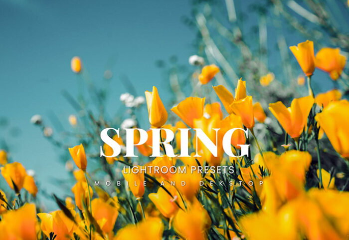 20 پریست لایت روم رنگی حرفه ای فصل بهار Spring Lightroom Presets