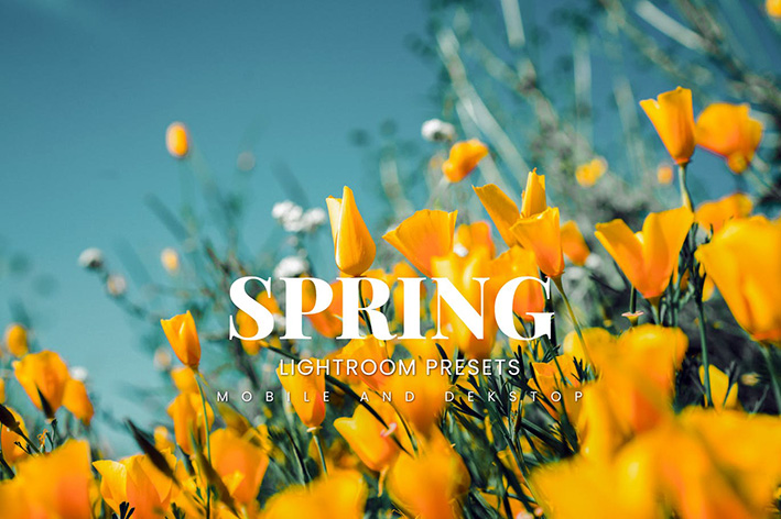 20 پریست لایت روم رنگی حرفه ای فصل بهار Spring Lightroom Presets 20 پریست لایت روم رنگی حرفه ای فصل بهار Spring Lightroom Presets