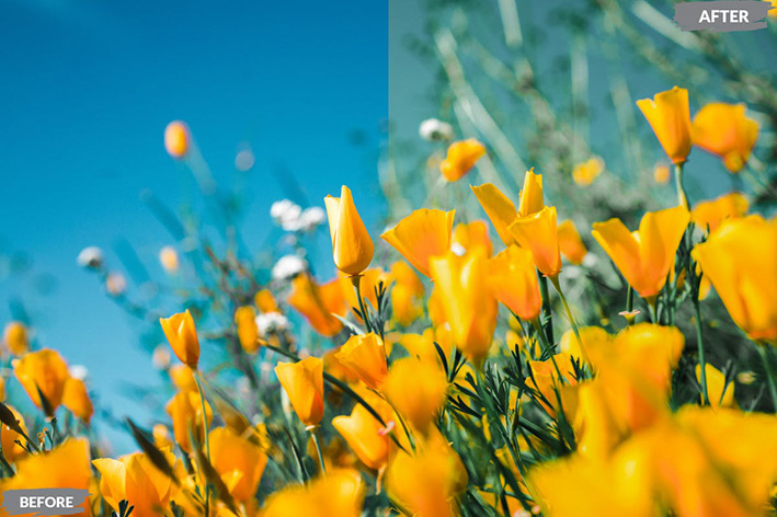 20 پریست لایت روم رنگی حرفه ای فصل بهار Spring Lightroom Presets 20 پریست لایت روم رنگی حرفه ای فصل بهار Spring Lightroom Presets