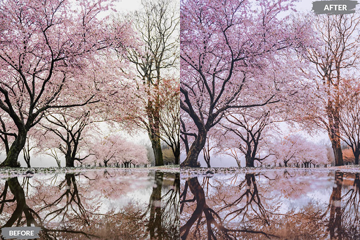 20 پریست لایت روم رنگی حرفه ای فصل بهار Spring Lightroom Presets 20 پریست لایت روم رنگی حرفه ای فصل بهار Spring Lightroom Presets