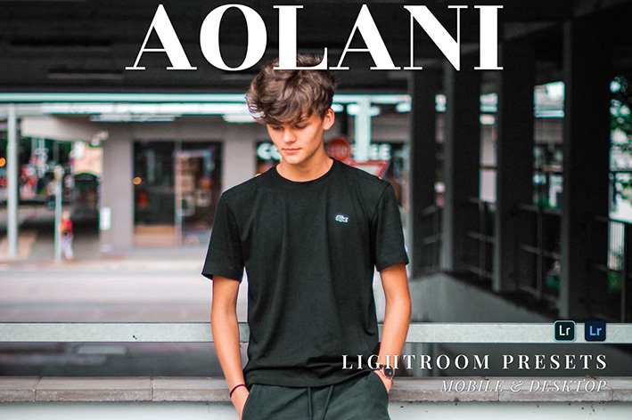 20 پریست لایت روم پرتره حرفه ای Aolani Lightroom Presets 20 پریست لایت روم پرتره حرفه ای Aolani Lightroom Presets