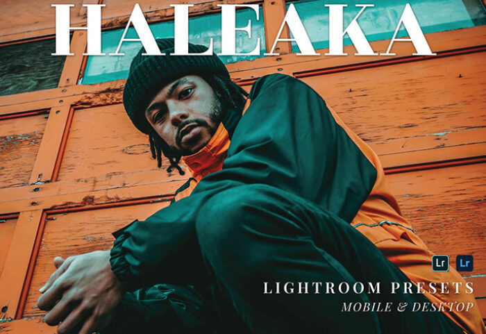 20 پریست لایت روم پرتره حرفه ای Haleaka Lightroom Presets