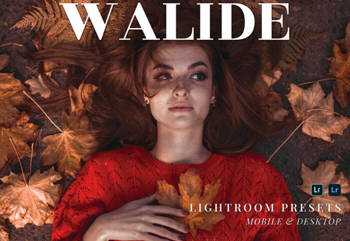 20 پریست لایت روم پرتره حرفه ای Walide Lightroom Presets