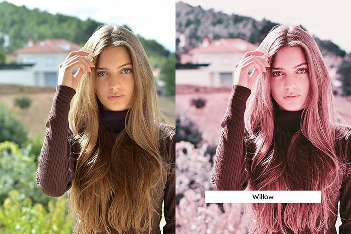 100 پریست لایت روم و پریست کمرا راو فتوشاپ و لات رنگی تم صورتی Rose Tinted Lightroom Presets LUTs