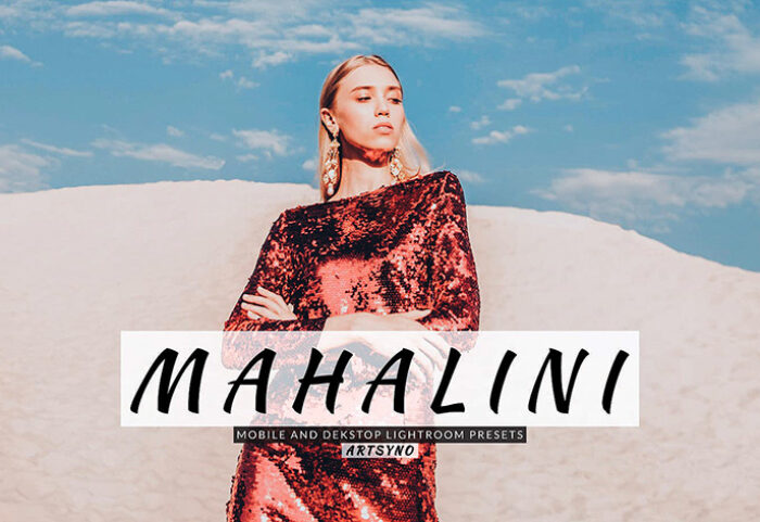 20 پریست لایت روم پرتره حرفه ای Mahalini Lightroom Presets