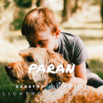 20 پریست لایت روم پرتره حرفه ای تم رنگی Paran Lightroom Preset