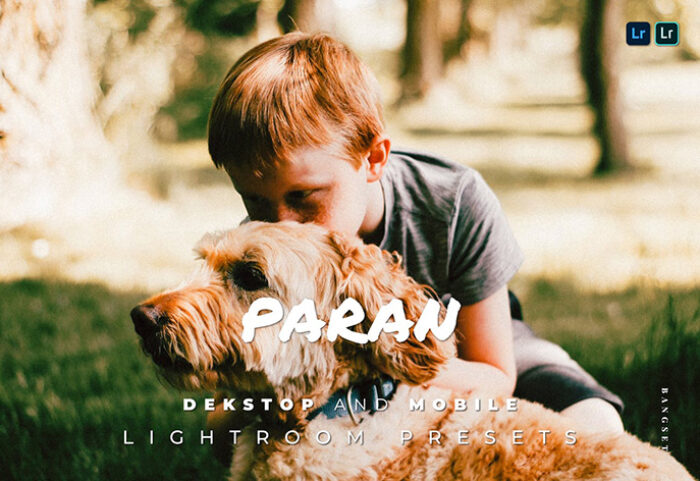 20 پریست لایت روم پرتره حرفه ای تم رنگی Paran Lightroom Preset