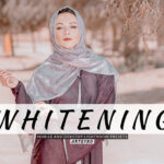 20 پریست لایت روم پرتره حرفه ای تم روشن Whitening Lightroom Presets