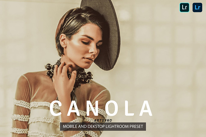20 پریست لایت روم پرتره حرفه ای تم فشن زنانه Canola Lightroom Presets 20 پریست لایت روم پرتره حرفه ای تم فشن زنانه Canola Lightroom Presets