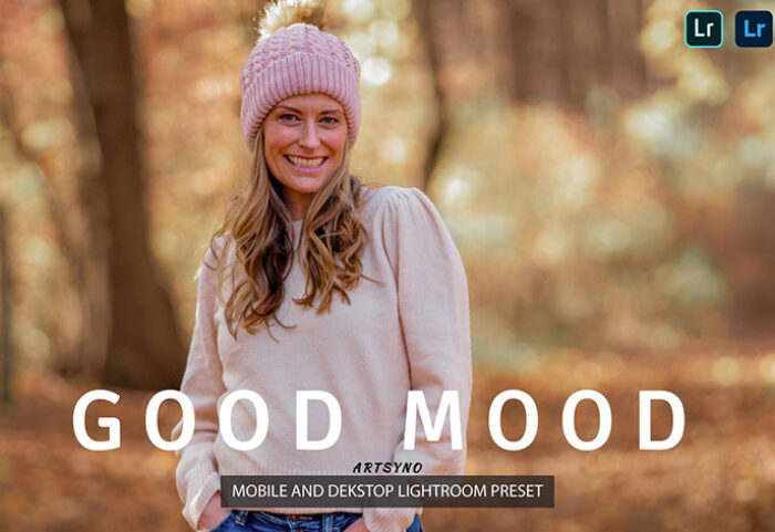 20 پریست لایت روم پرتره حرفه ای تم پاییز Good Mood Lightroom Presets