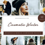 24 پریست لایت روم زمستان تم سینمایی Cinematic Winter Lightroom Presets
