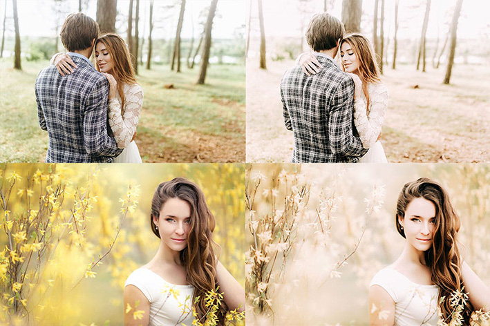 30 پریست لایت روم رنگی حرفه ای تم زرد Shades of Yellow Lightroom Presets 30 پریست لایت روم رنگی حرفه ای تم زرد Shades of Yellow Lightroom Presets