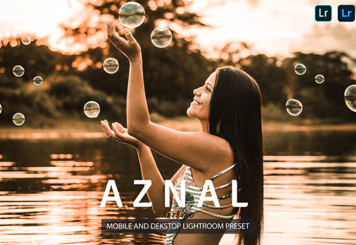 20 پریست لایت روم پرتره فشن حرفه ای Aznal Lightroom Presets