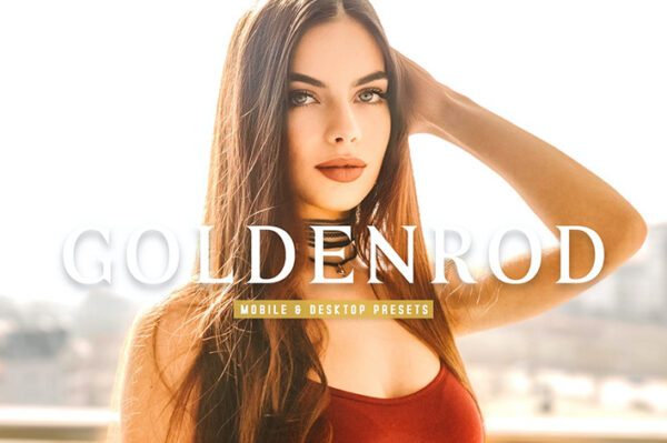 40 پریست لایت روم و پریست کمرا راو و اکشن فتوشاپ تم طلایی Goldenrod Lightroom Presets