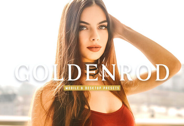 40 پریست لایت روم و پریست کمرا راو و اکشن فتوشاپ تم طلایی Goldenrod Lightroom Presets
