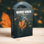 16 پریست لایت روم حرفه ای تم سبز تیره Moody Dark Green Lightroom Presets