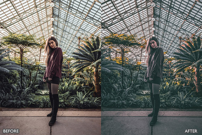 16 پریست لایت روم حرفه ای تم سبز تیره Moody Dark Green Lightroom Presets