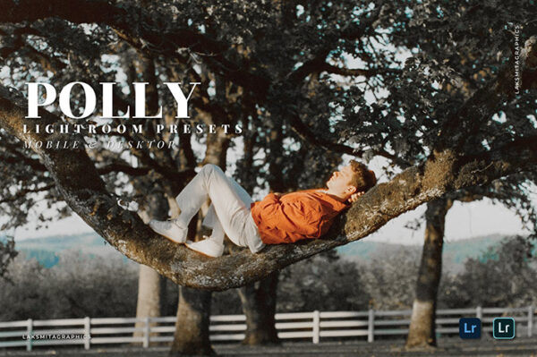 20 پریست لایت روم 2022 سینماتیک حرفه ای فضای باز Polly Lightroom Presets