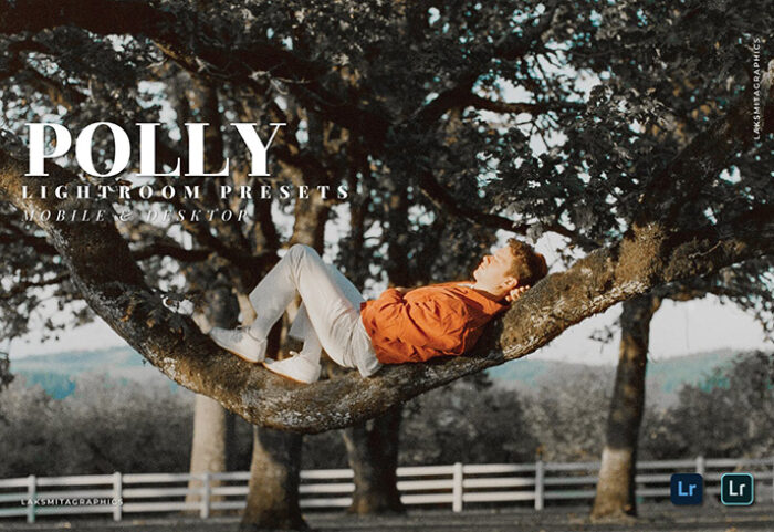 20 پریست لایت روم 2022 سینماتیک حرفه ای فضای باز Polly Lightroom Presets