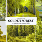 30 پریست لایت روم 2022 حرفه ای تم جنگل طلایی Merino Lightroom Presets