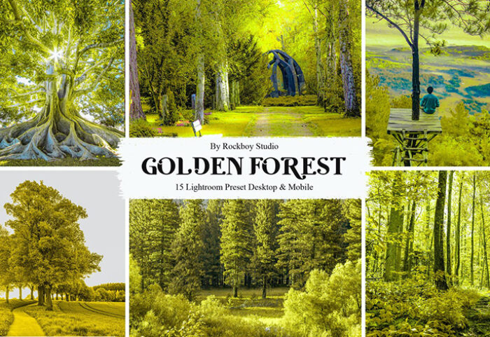 30 پریست لایت روم 2022 حرفه ای تم جنگل طلایی Merino Lightroom Presets